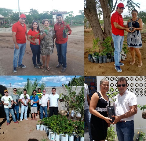 Prefeitura de Sumé e deputado Luiz Couto distribuem mudas de plantas na zona rural