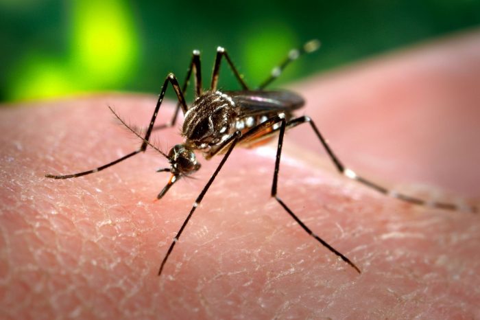 Paraíba registra aumento de 16,44% de casos suspeitos de dengue